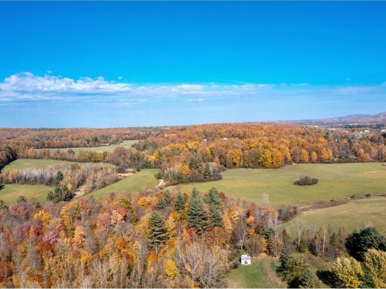 Foliage View