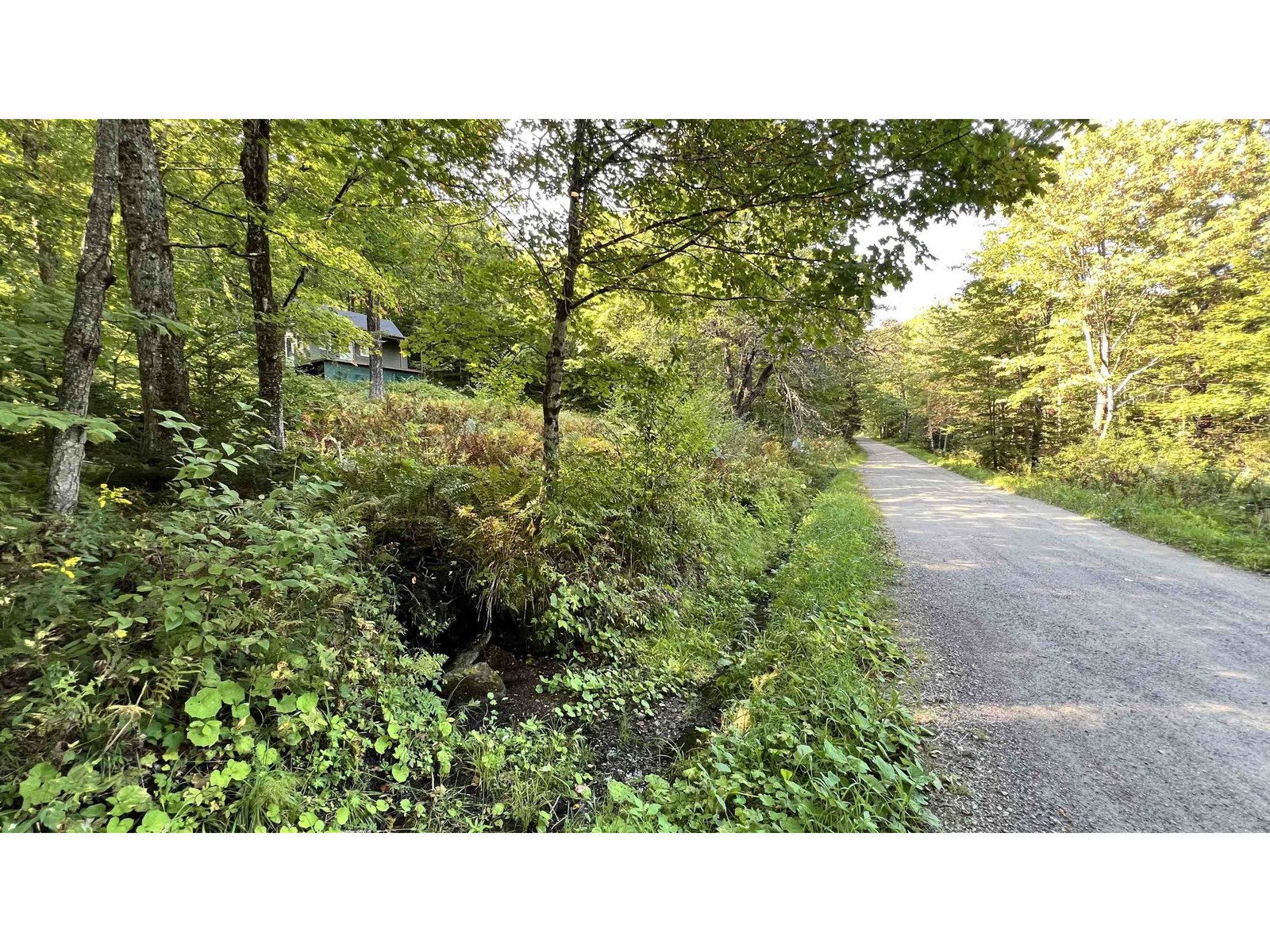 stone wall on Southern parcel line