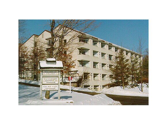 208 Village Gate, Unit 208