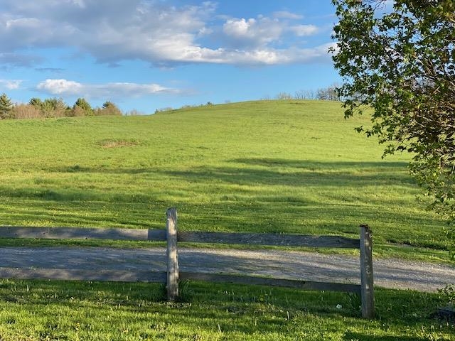 Views into the meadow and beyond