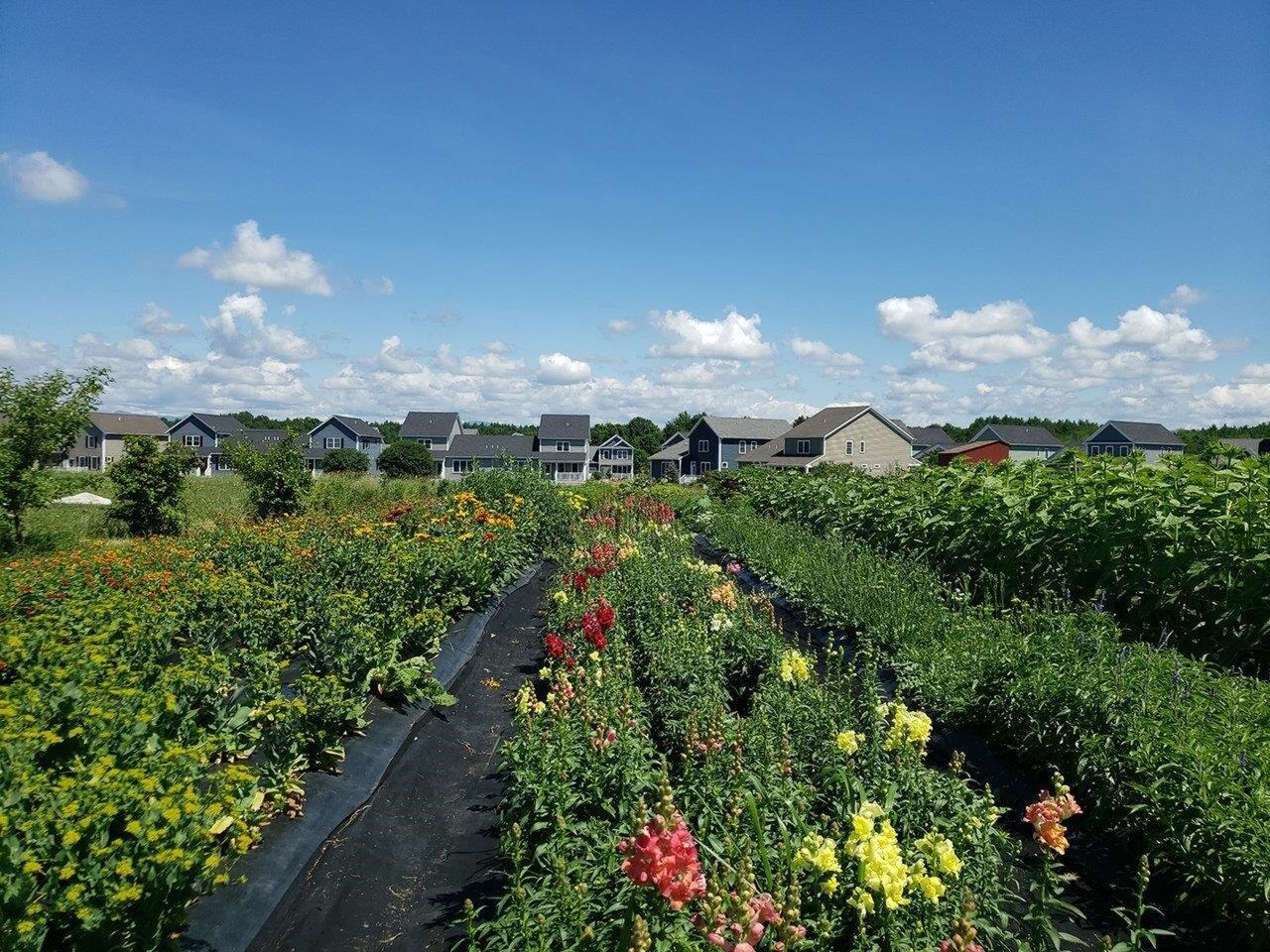 12-acre organic farm