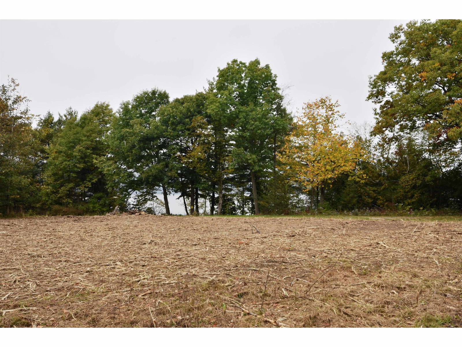 cleared house site.