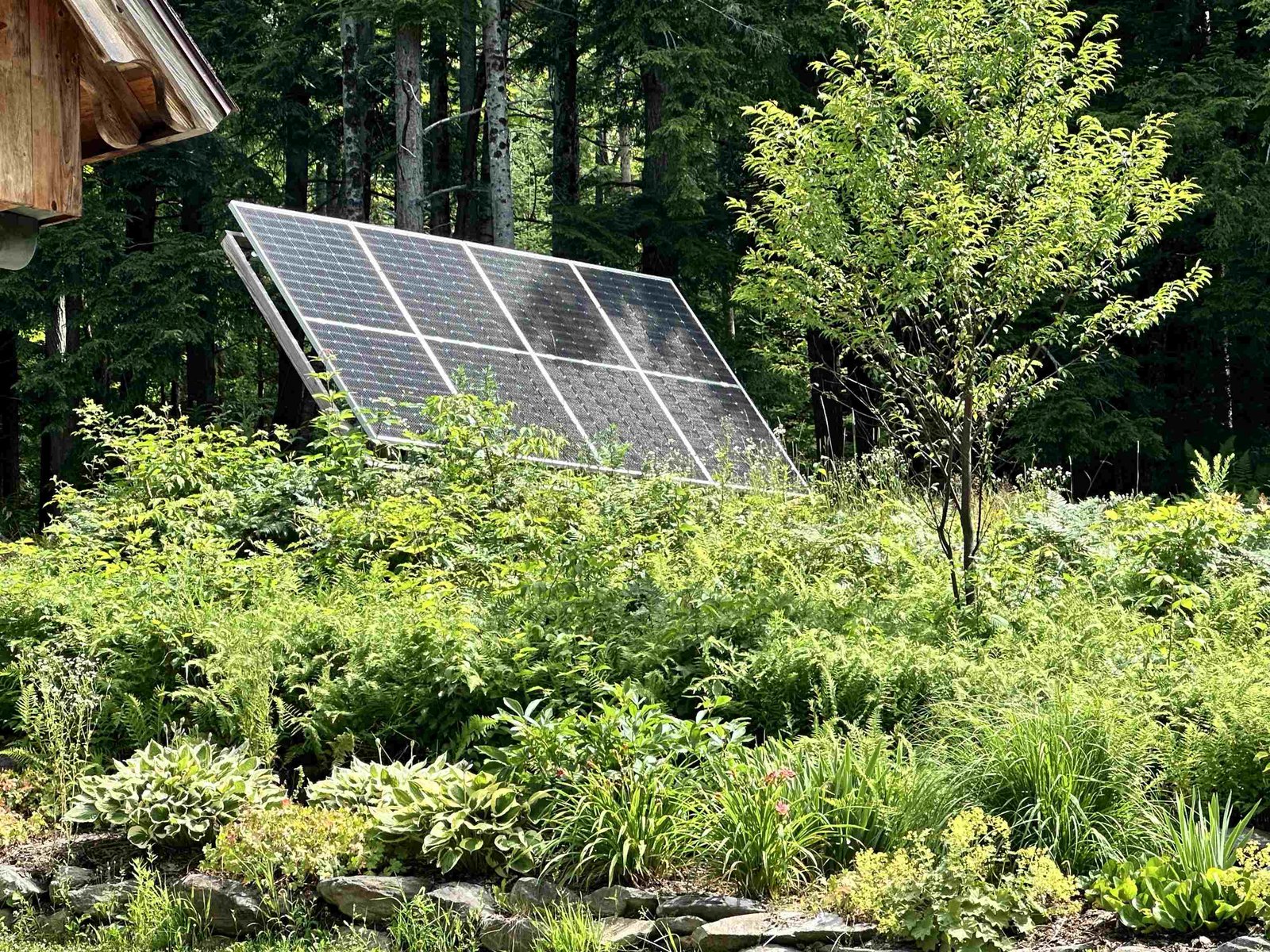 Eight solar panels - ground mount