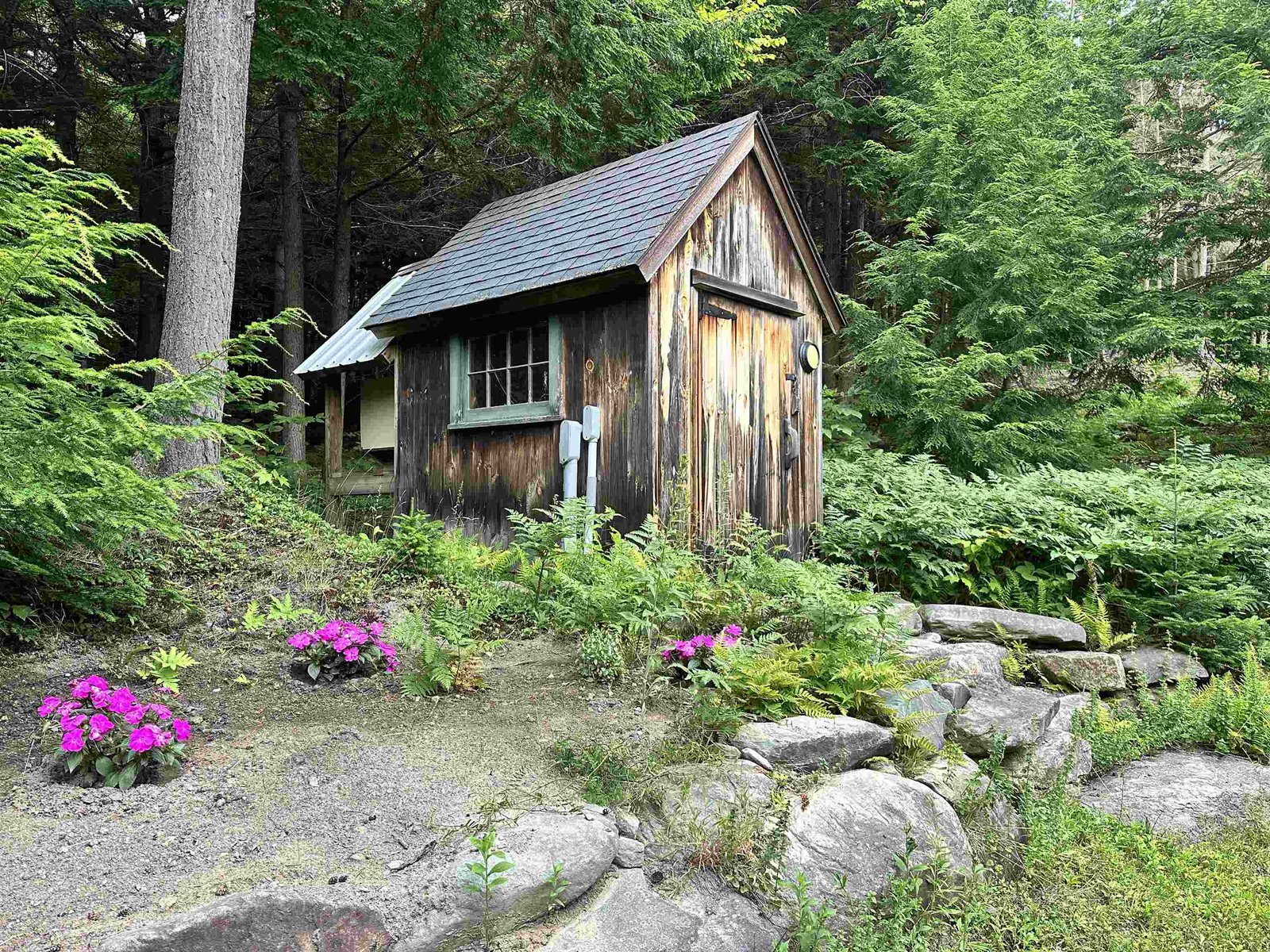 Back yard shed