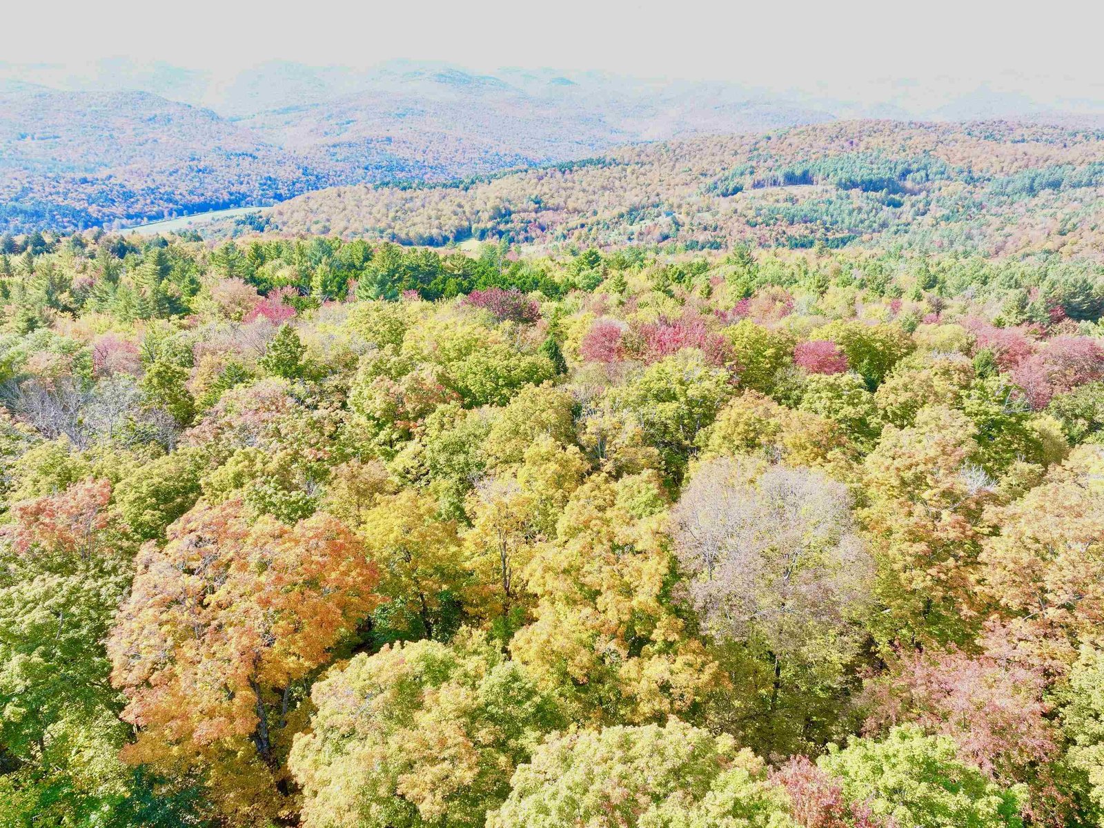 Wooded Land Fall Colors!