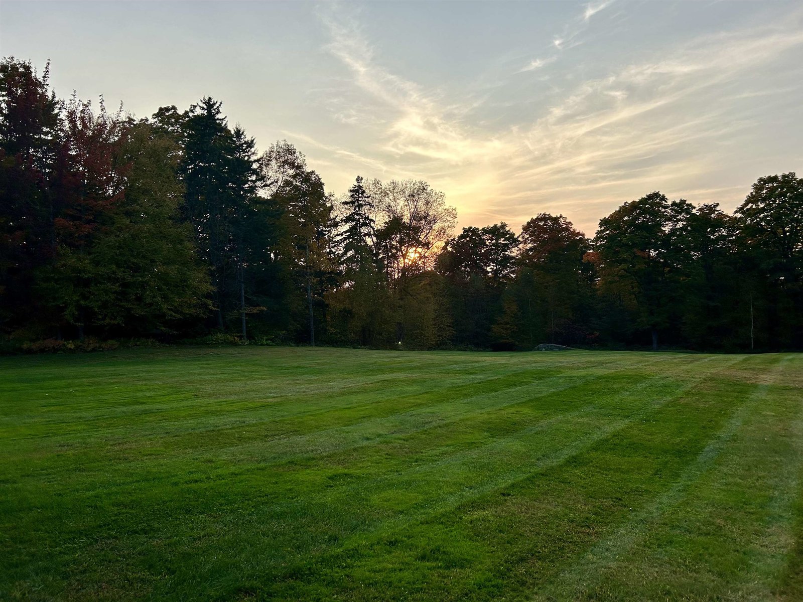 Backyard Sunset