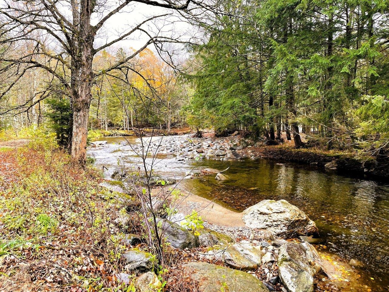 Trout fishing anyone?