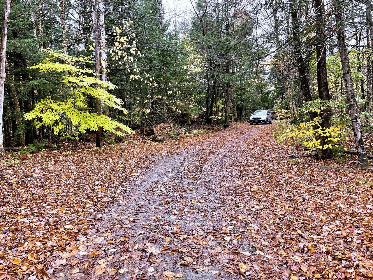 Long driveway leading to house