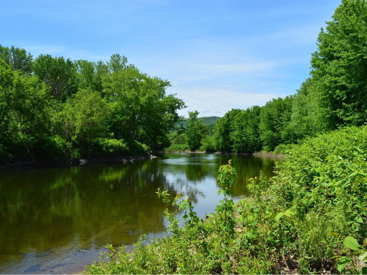 Amazing River Access