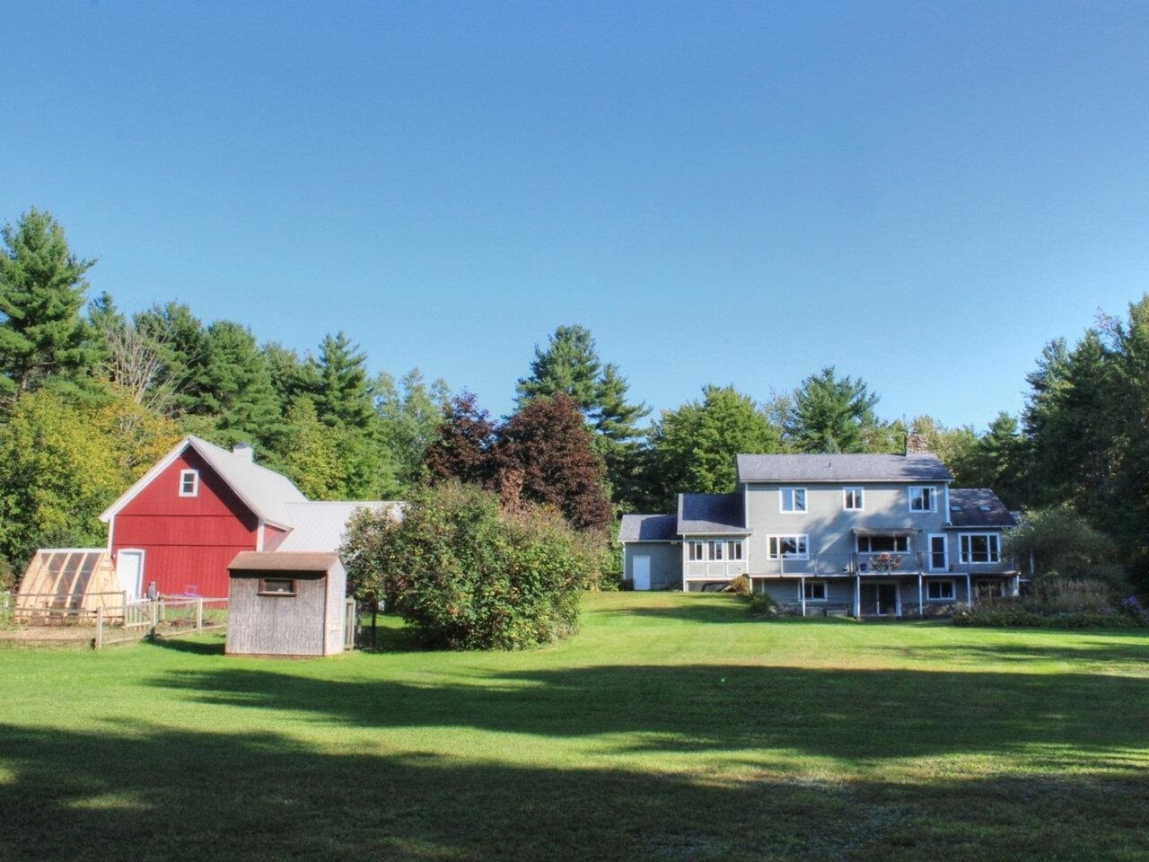 Expansive tree-lined backyard