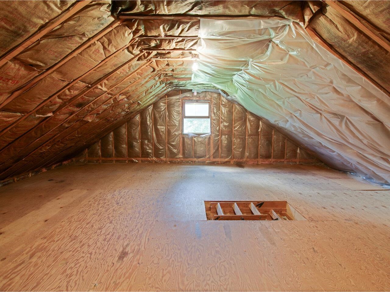 Attic Above Garage