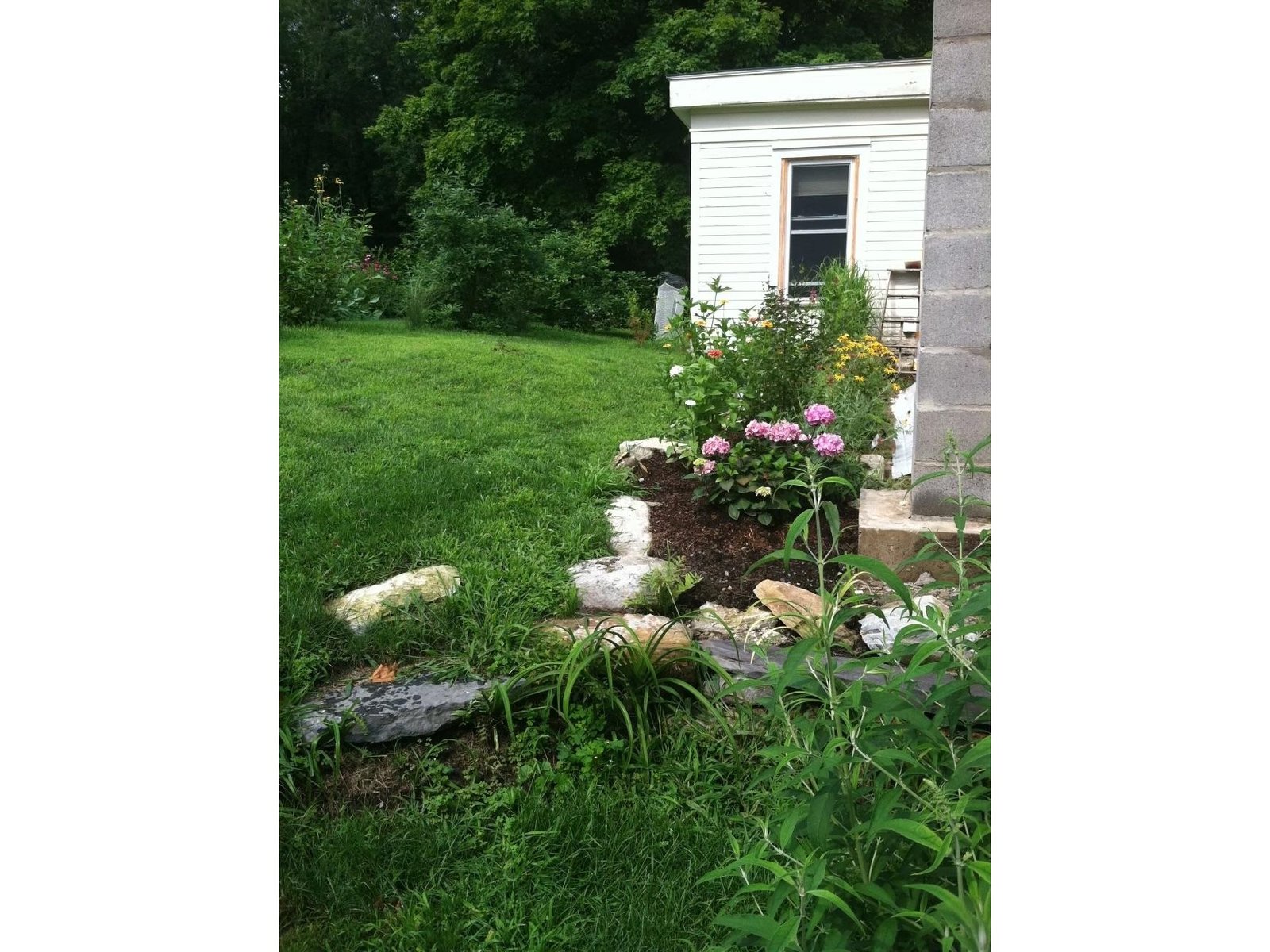 Side Yard/More Perennials