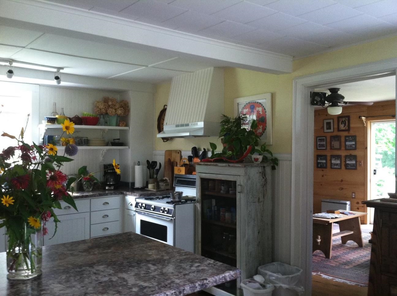 Kitchen/Dining