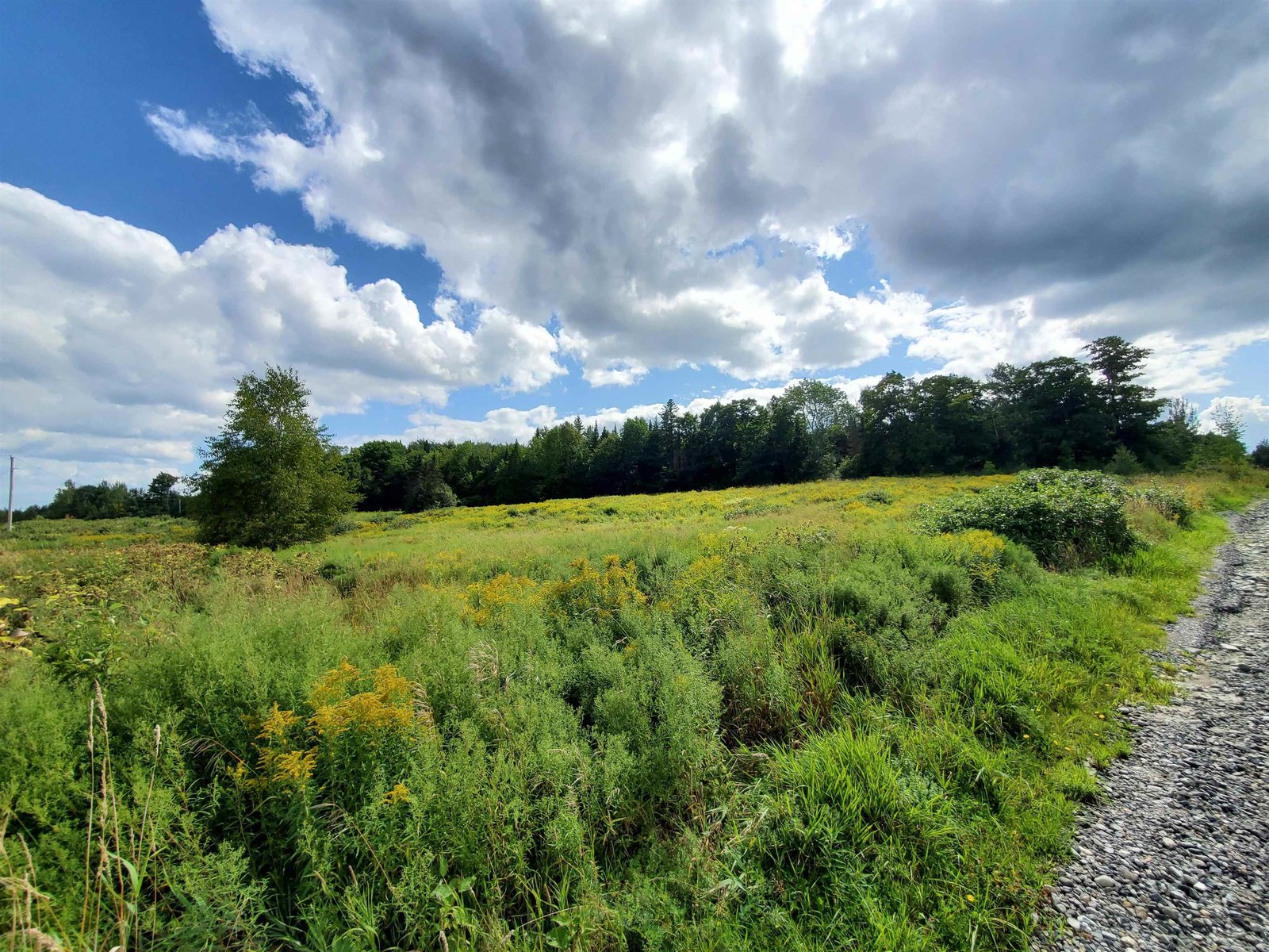 Land/former pasture behind barn