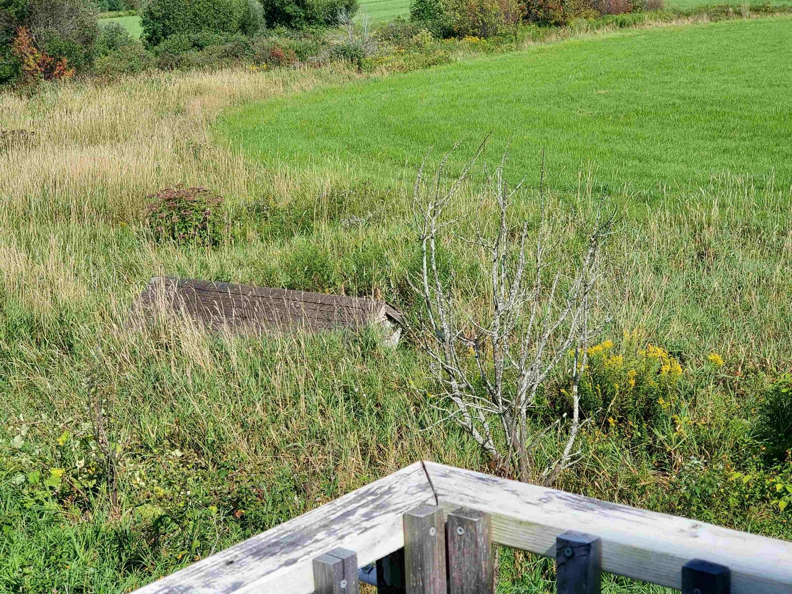 Spring house located off Deck