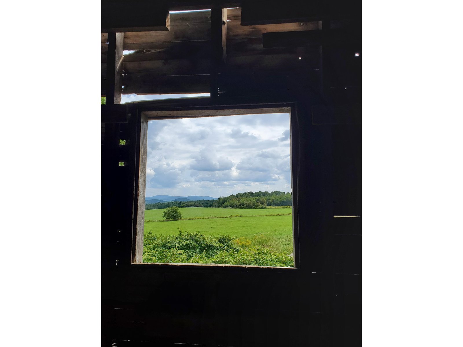 Barn with a view