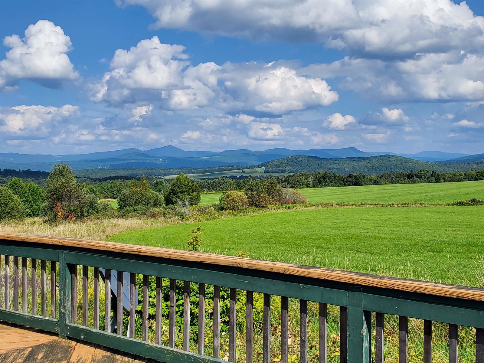 View from Deck