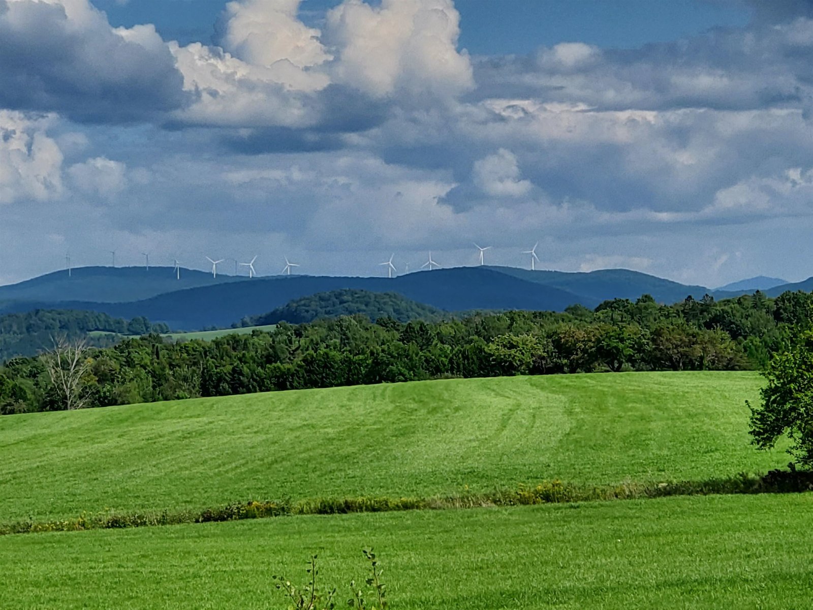 View from Deck