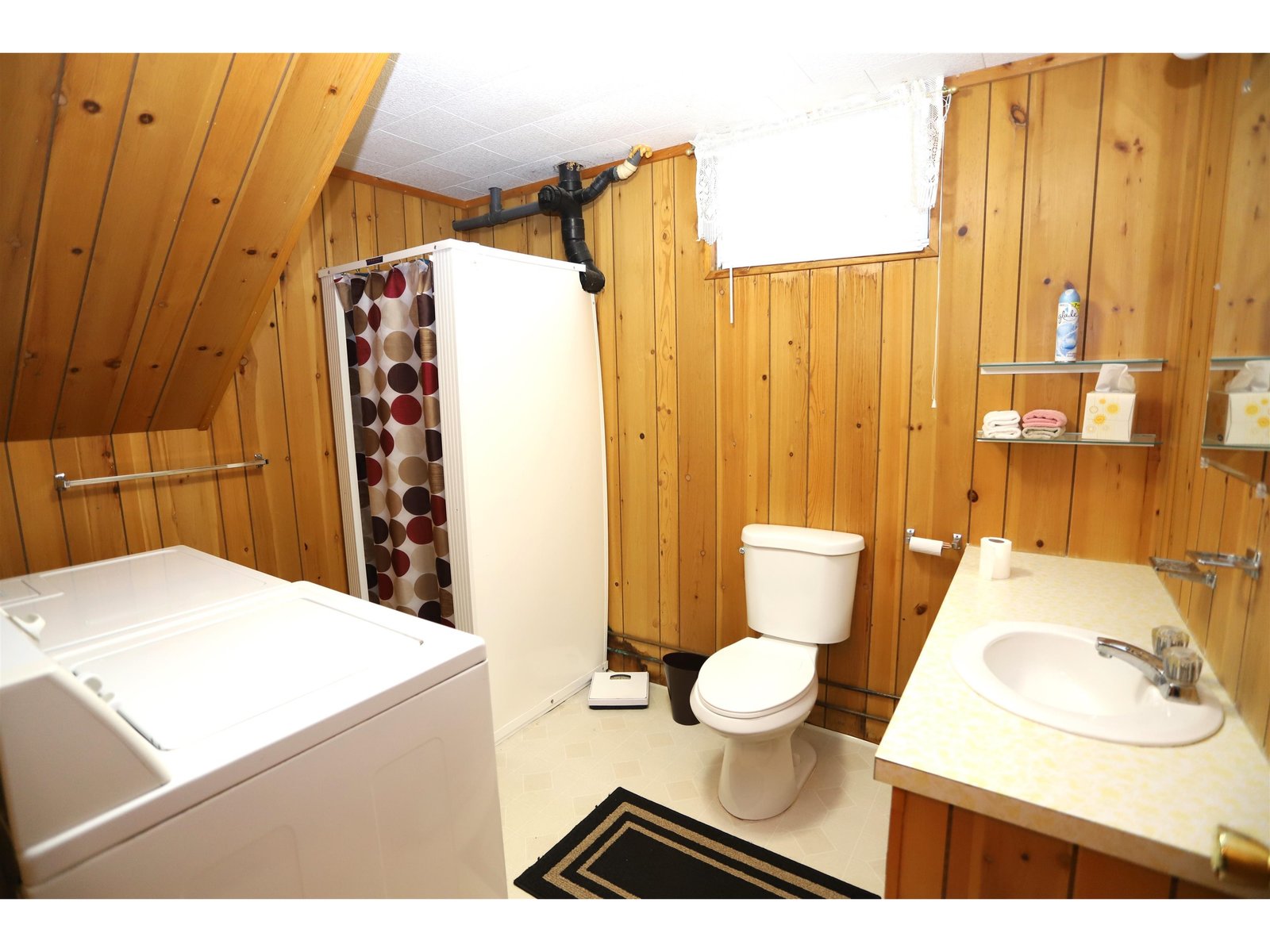 Lower Level Bathroom W/ Laundry