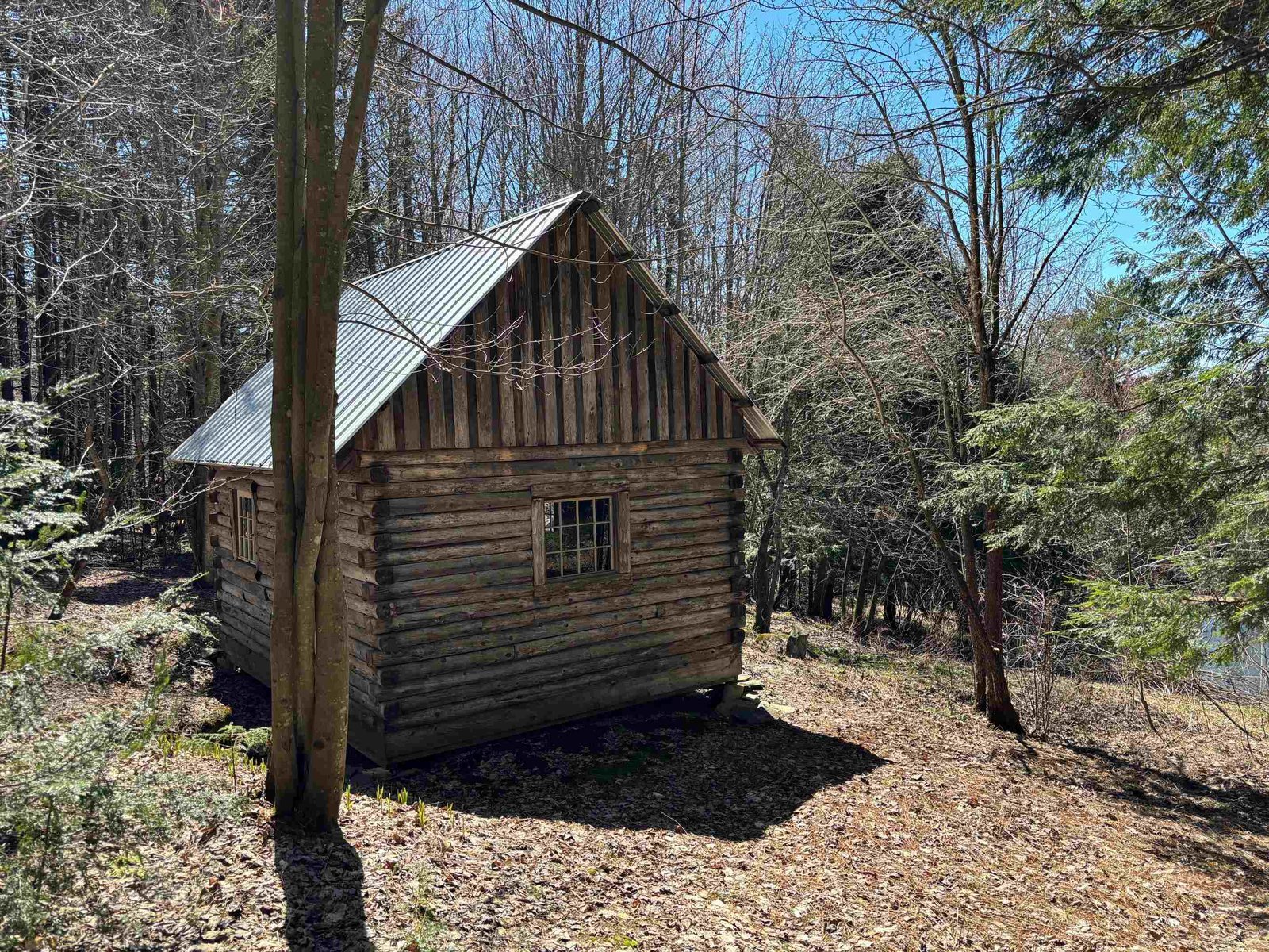 Log homestead