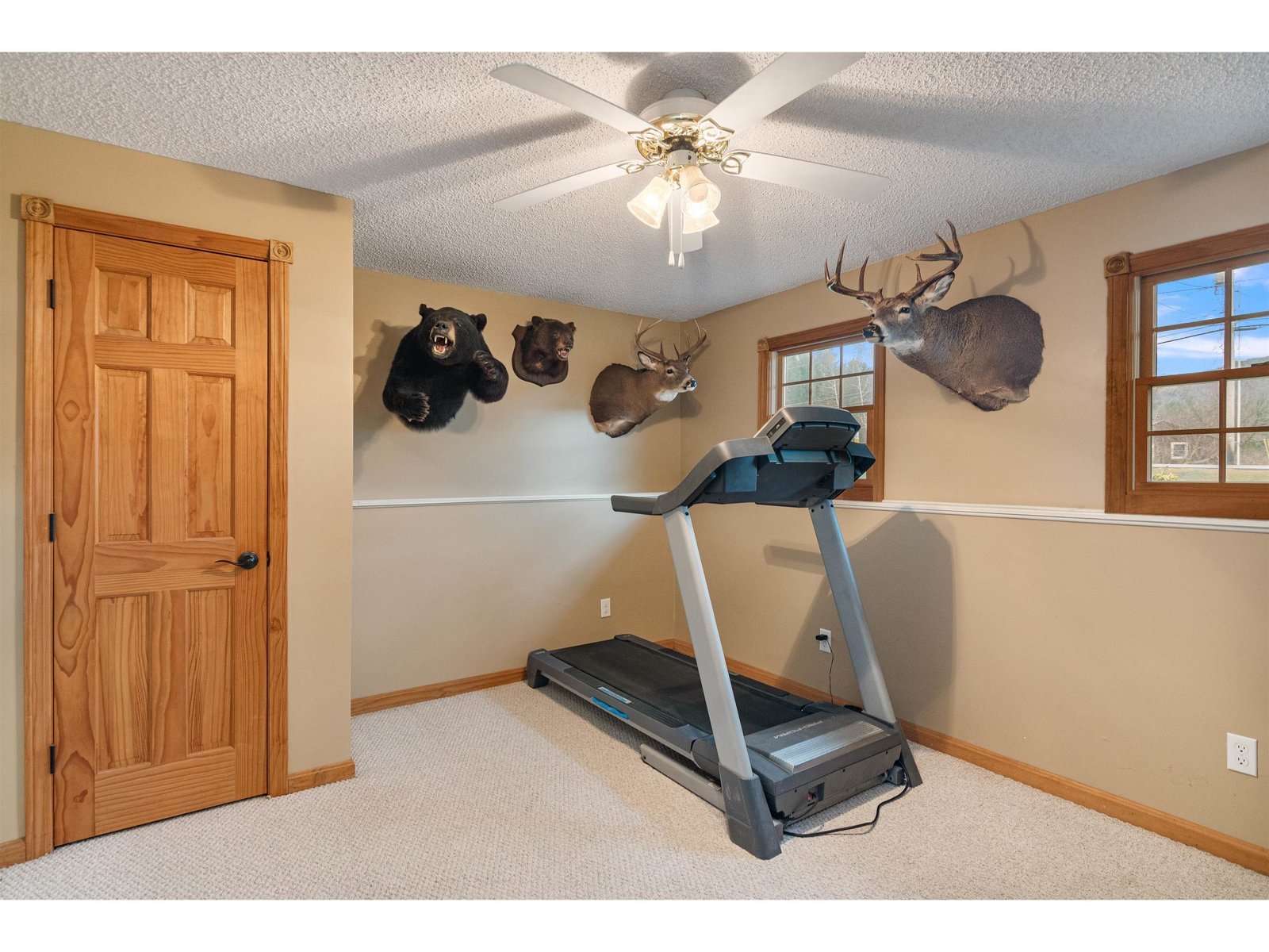 Basement: Bedroom 4