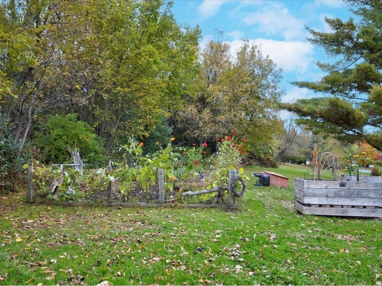 Community gardens!