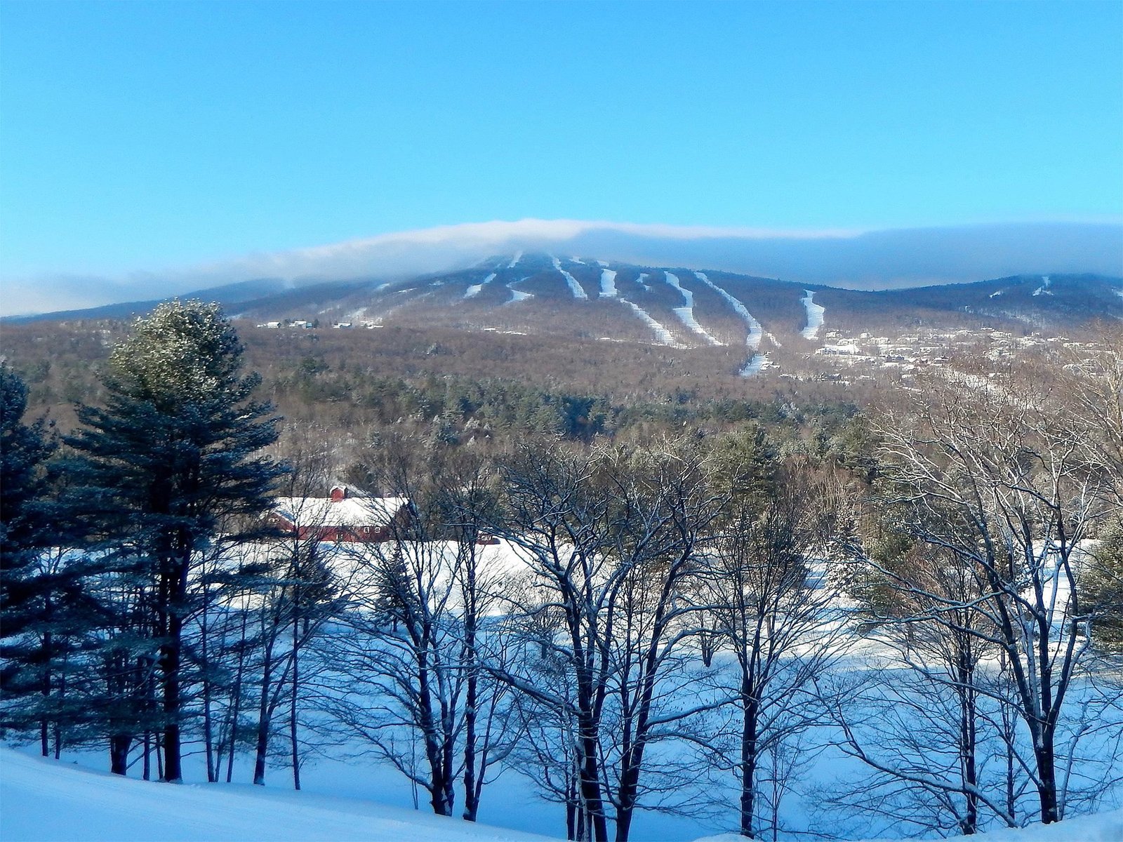 Views from Fox Run cross country ski trails