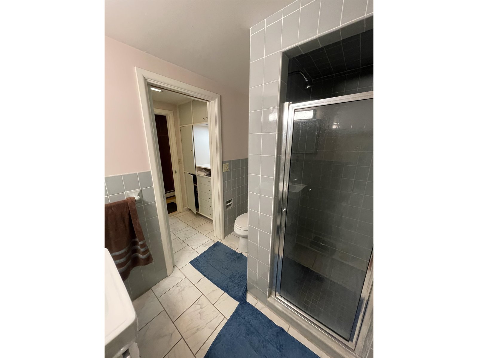 Lower level bathroom