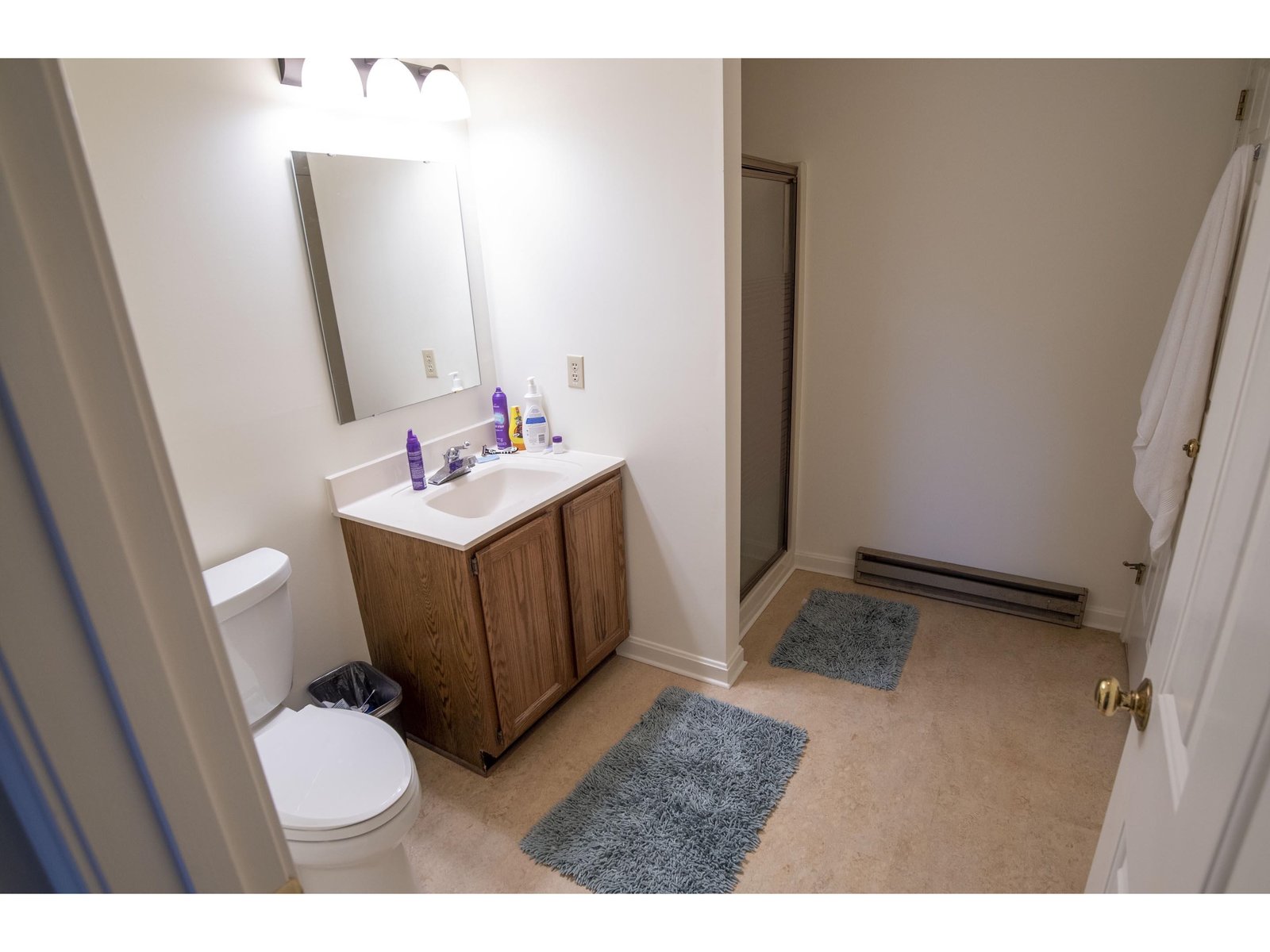 Lower Level 3/4 Bath