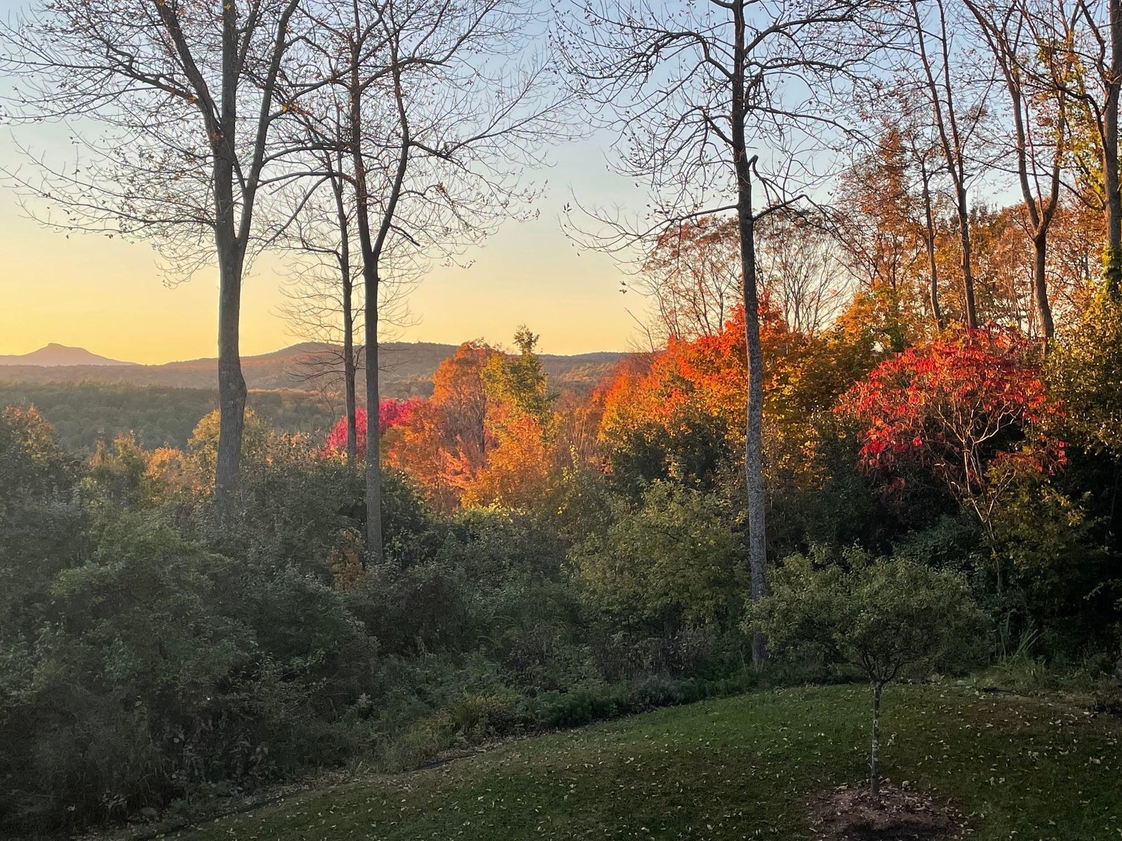 Fall Foliage Vistas