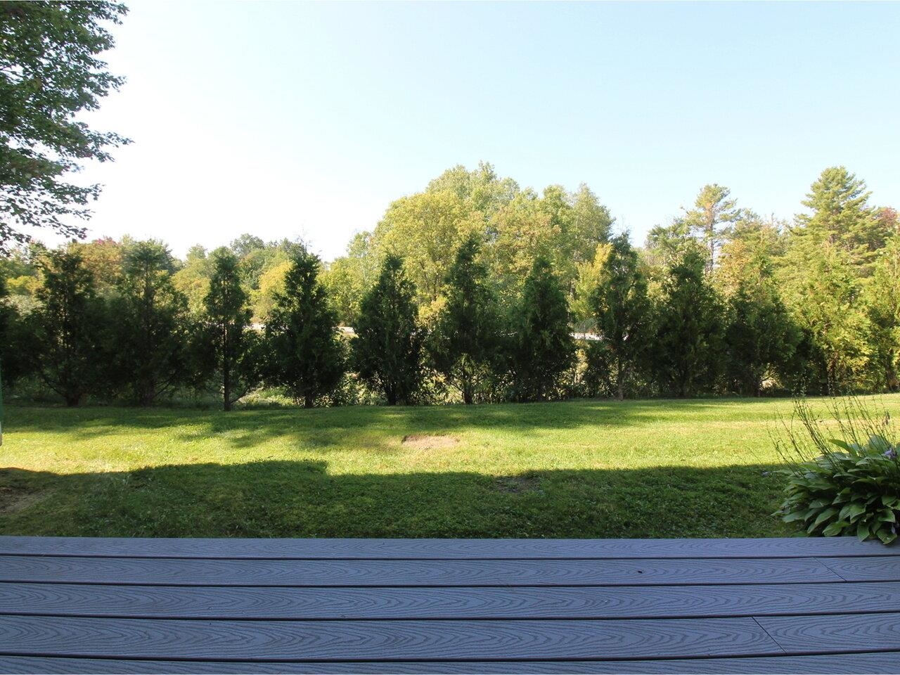 Overlooking Privacy Bushes