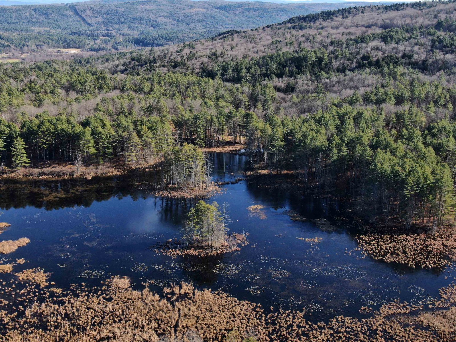 Giant natural pond...check out the wildlife list