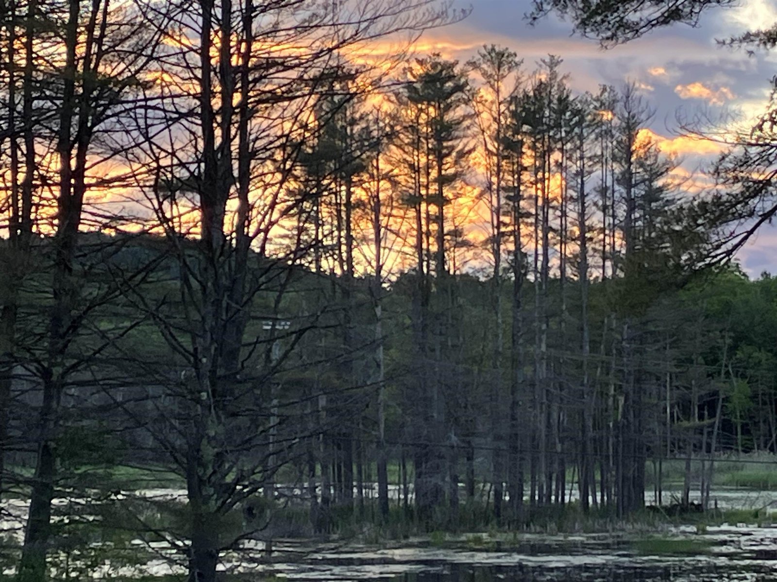 Sun rising over the pond