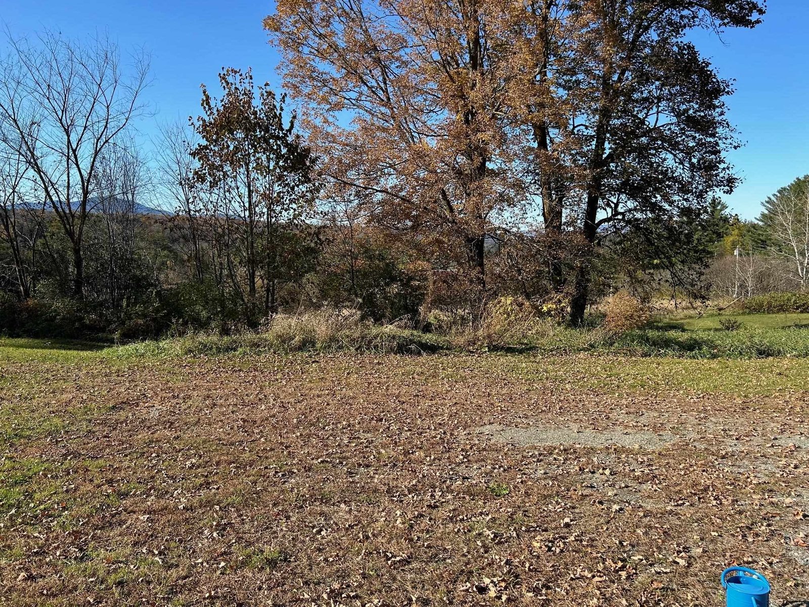 Front Yard to views