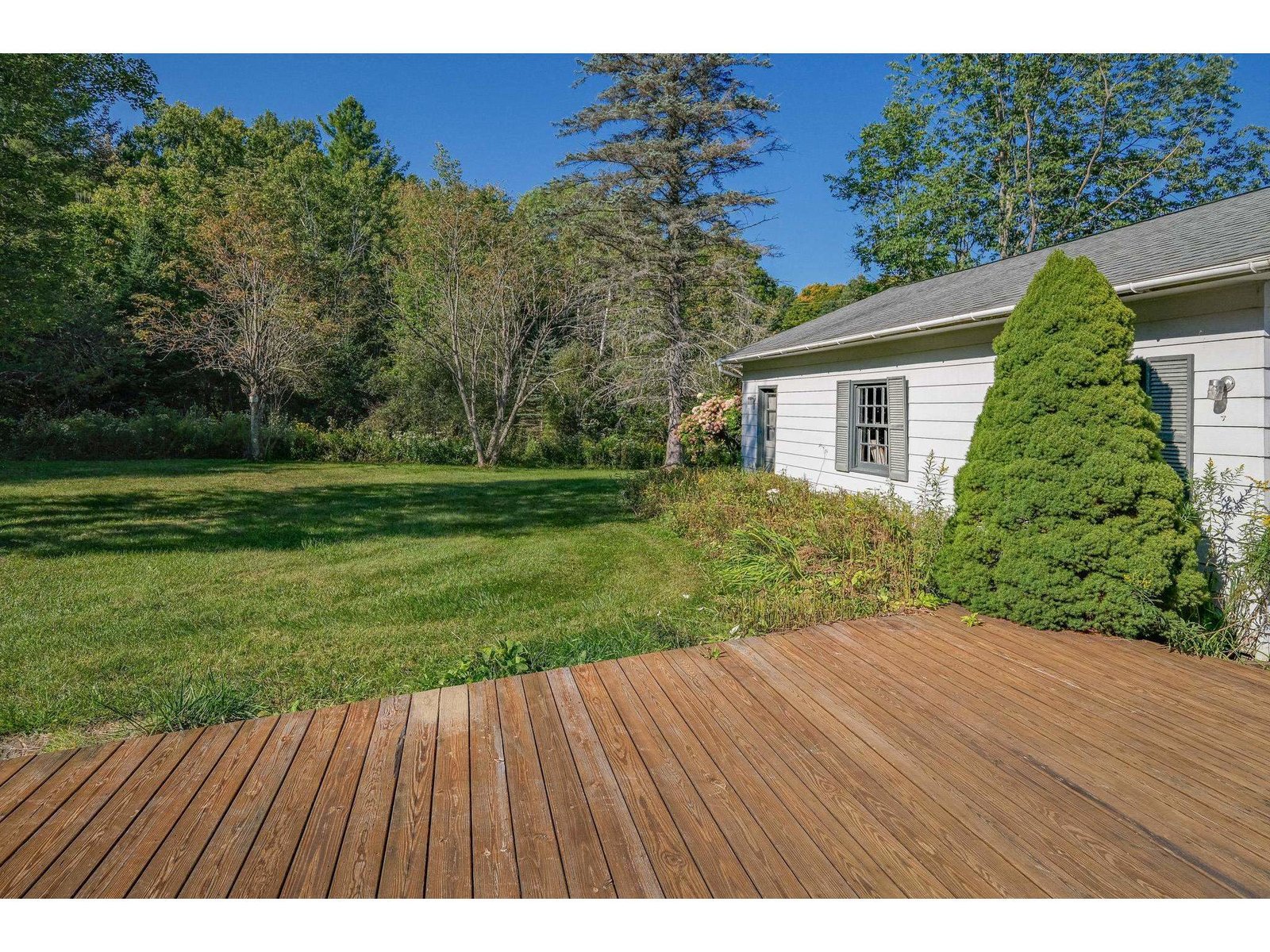 Patio to backyard