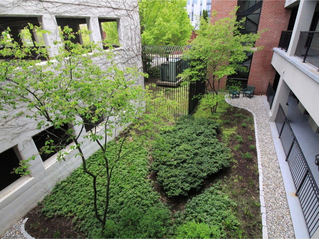 Garden Courtyard