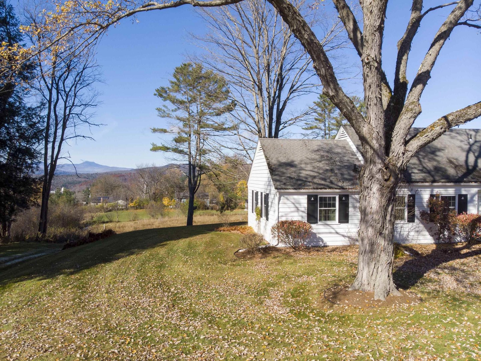 Camels Hump View