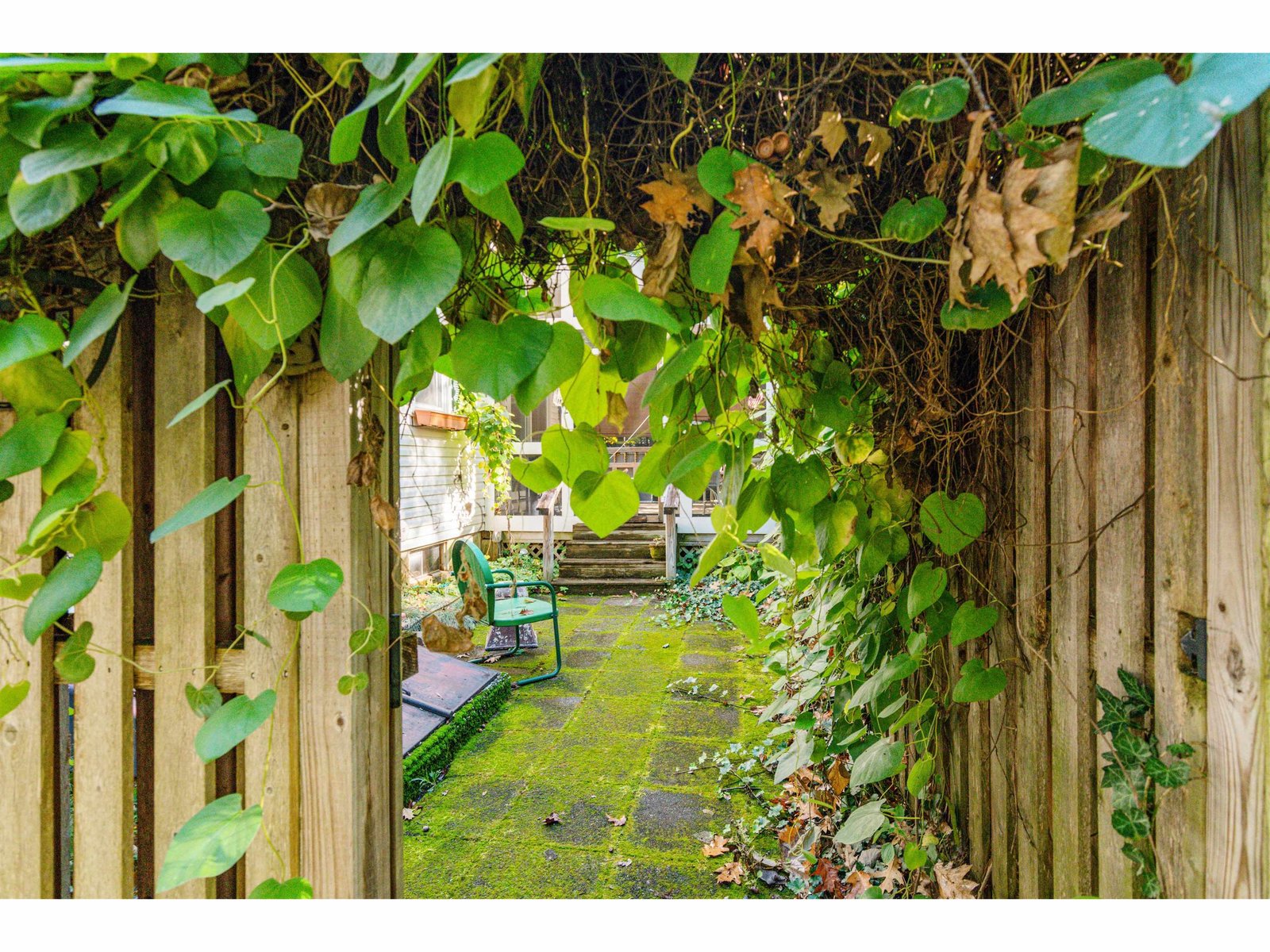 Patio Entrance