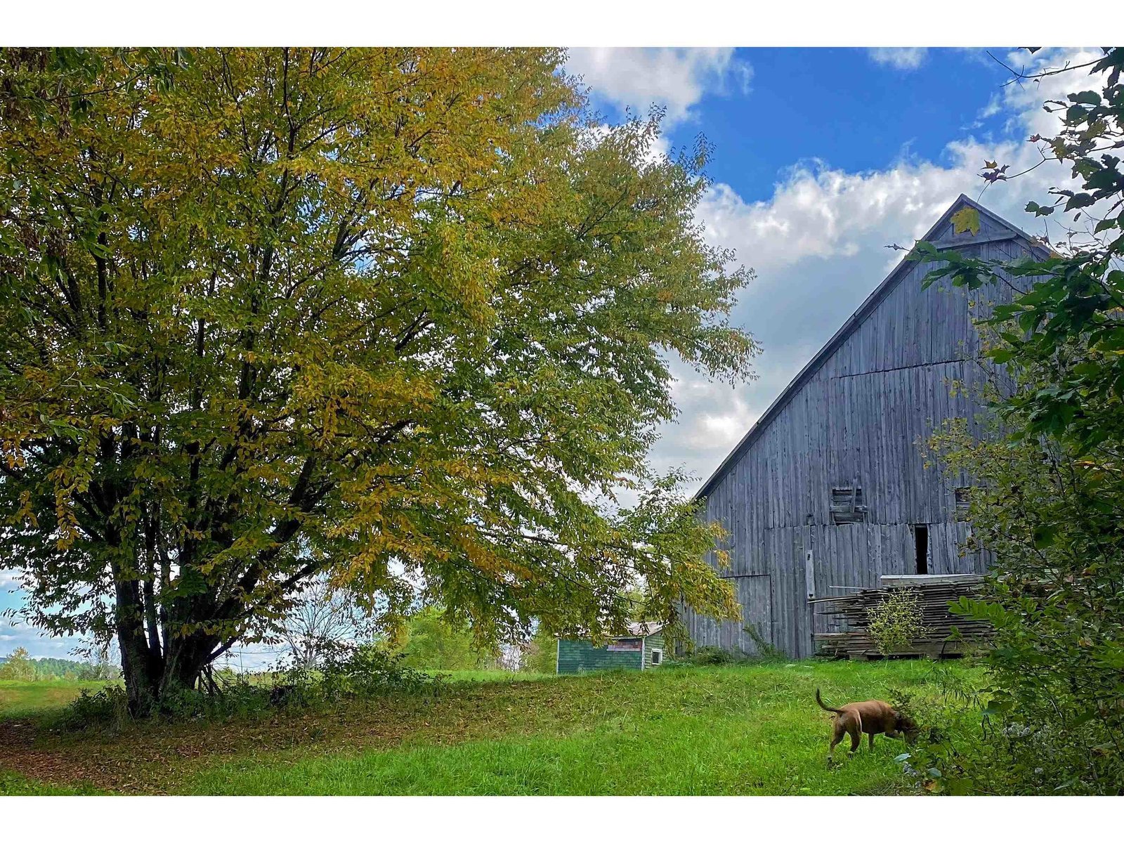 Barn