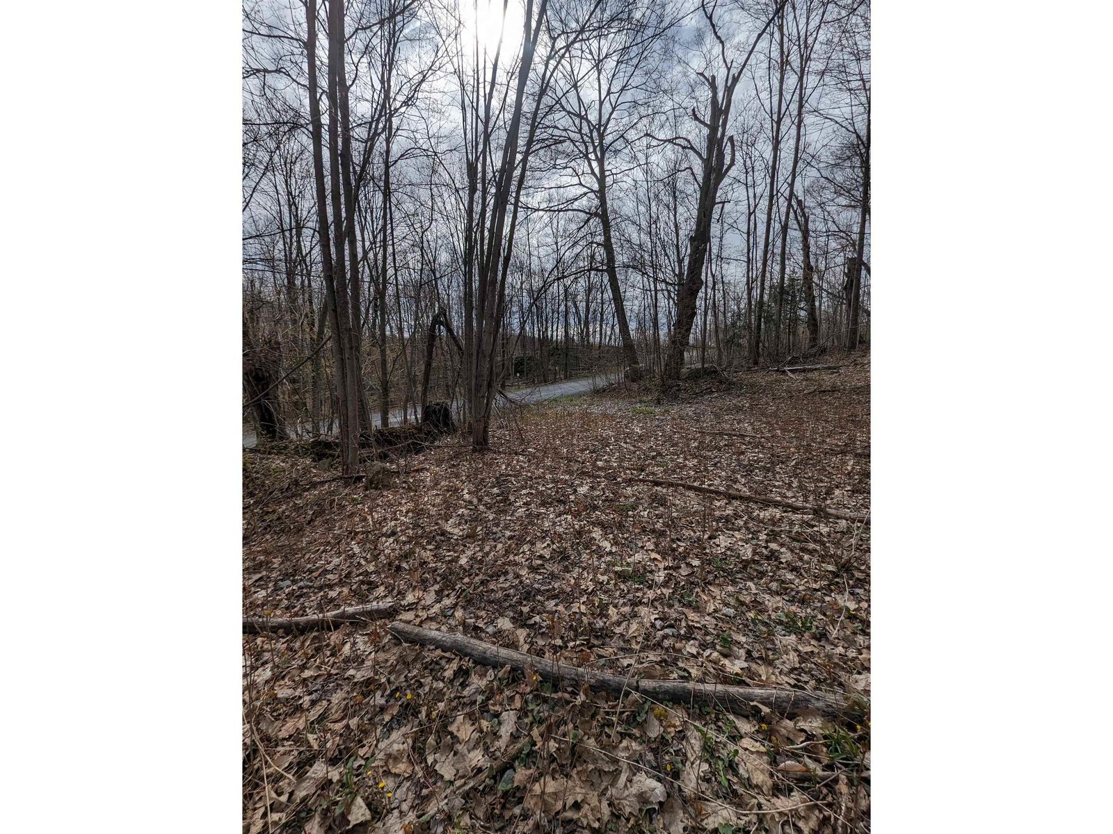 View towards mouth of driveway