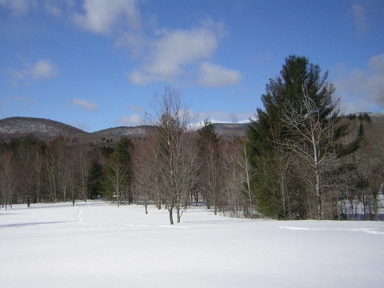 0 Sterling Valley Road Morristown, Vermont - Sold in 2021