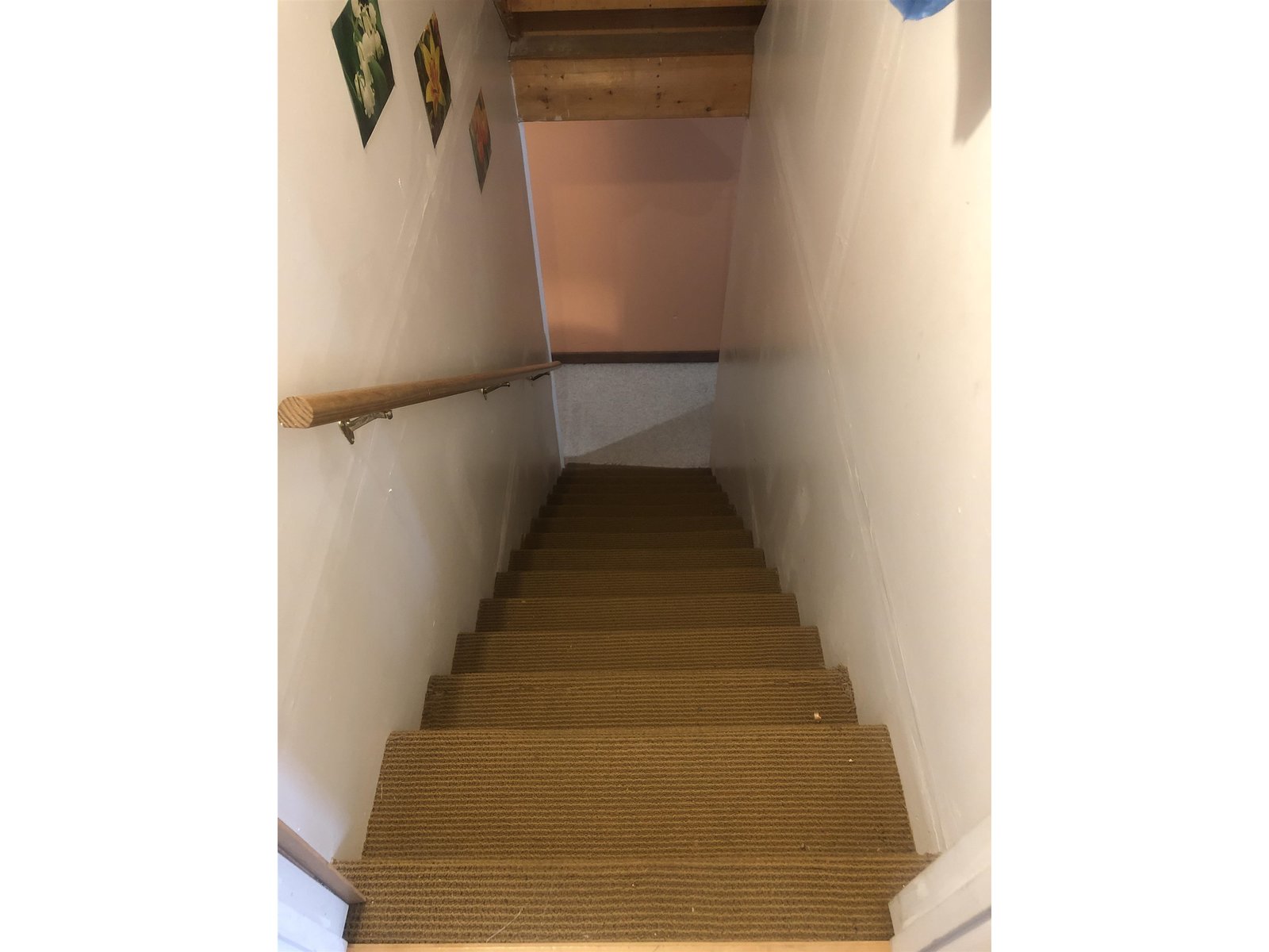 Basement steps