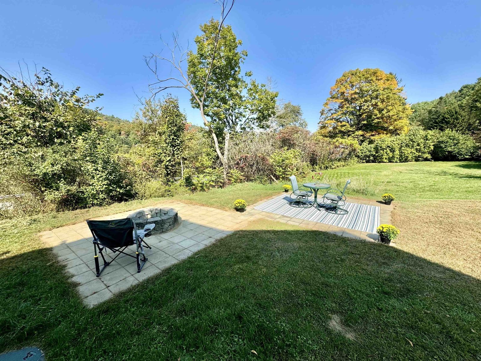 Fire Pit and Patio Area