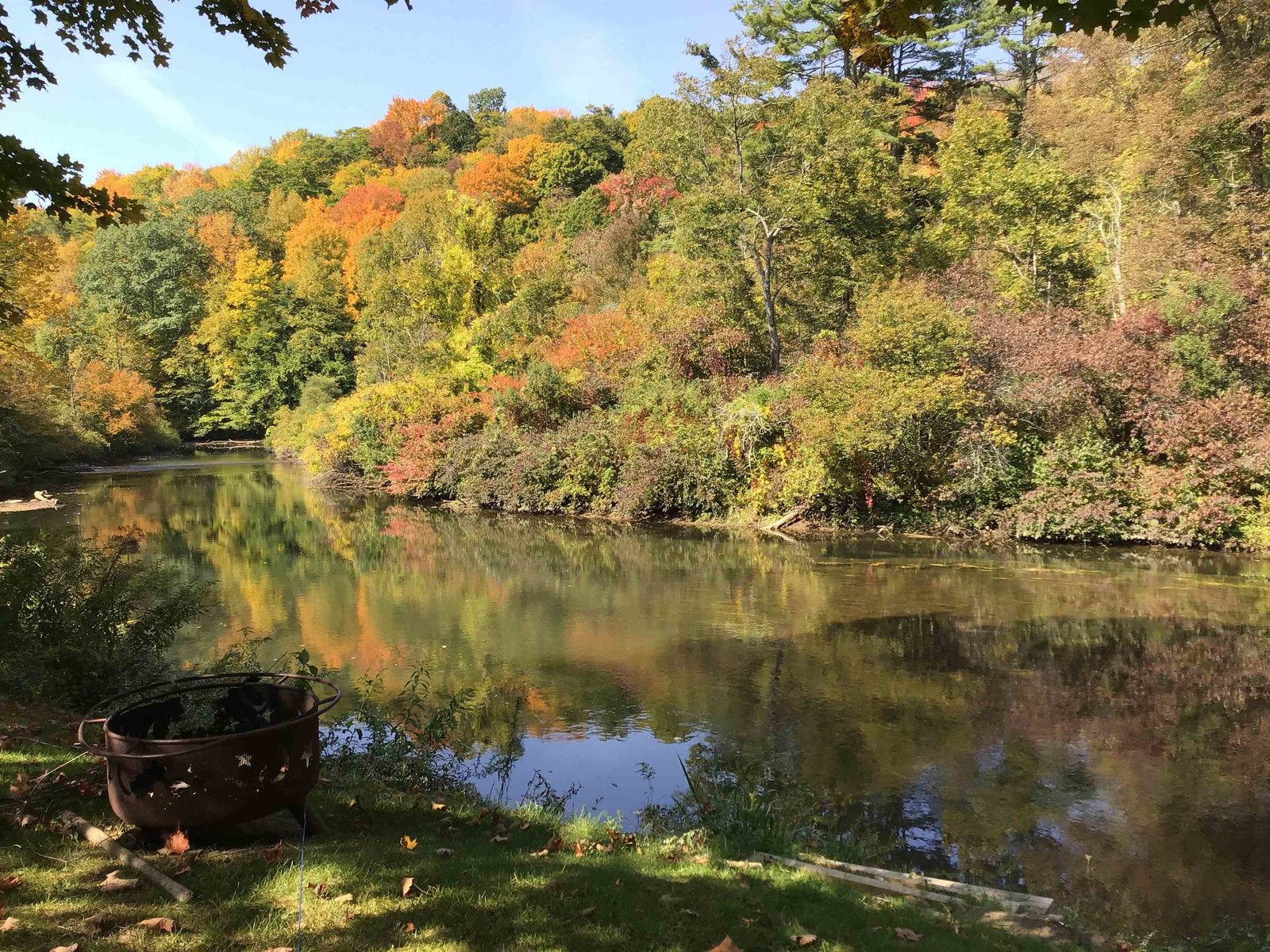 Backyard along the river