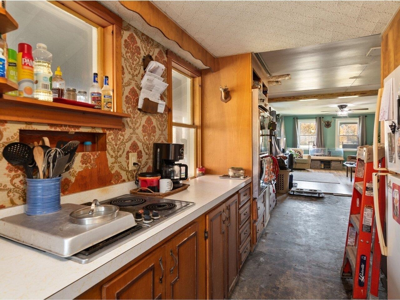 Vintage cabinets