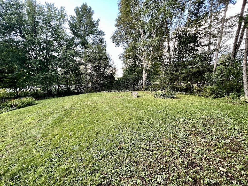 Fenced Back Yard, Room to Garden, Play, Relax and Enjoy the Firepit