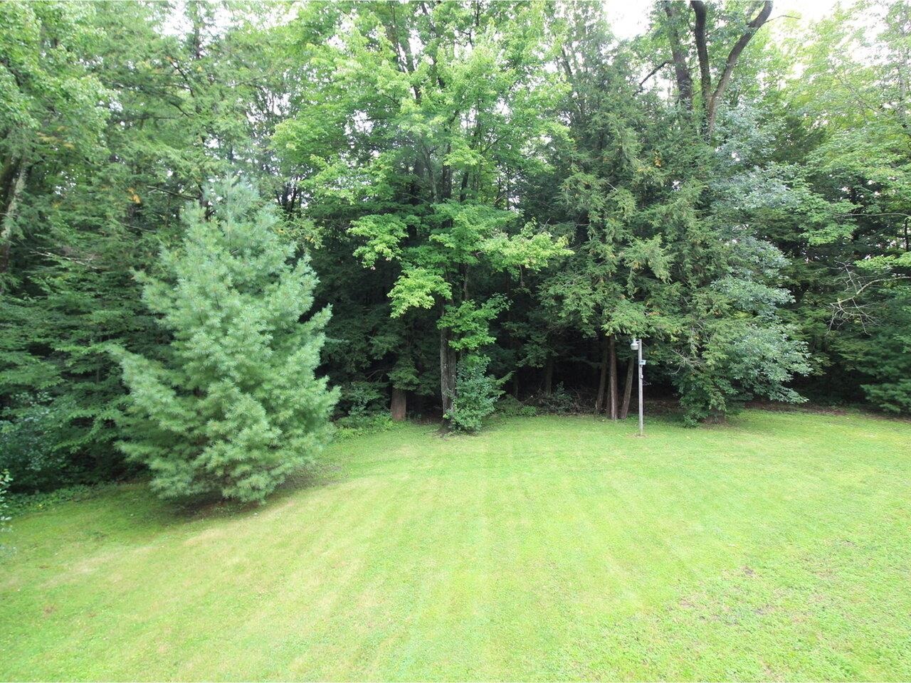 Private Wooded Yard