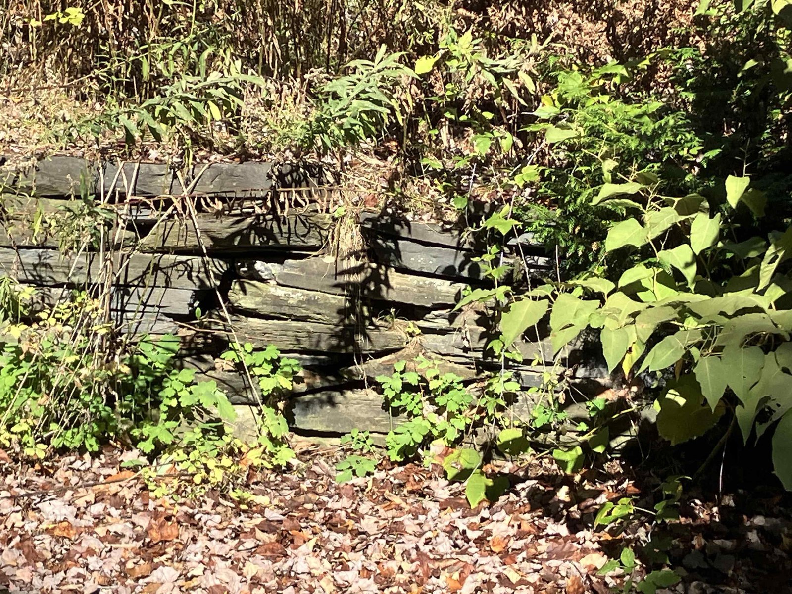 Charming Retaining Wall