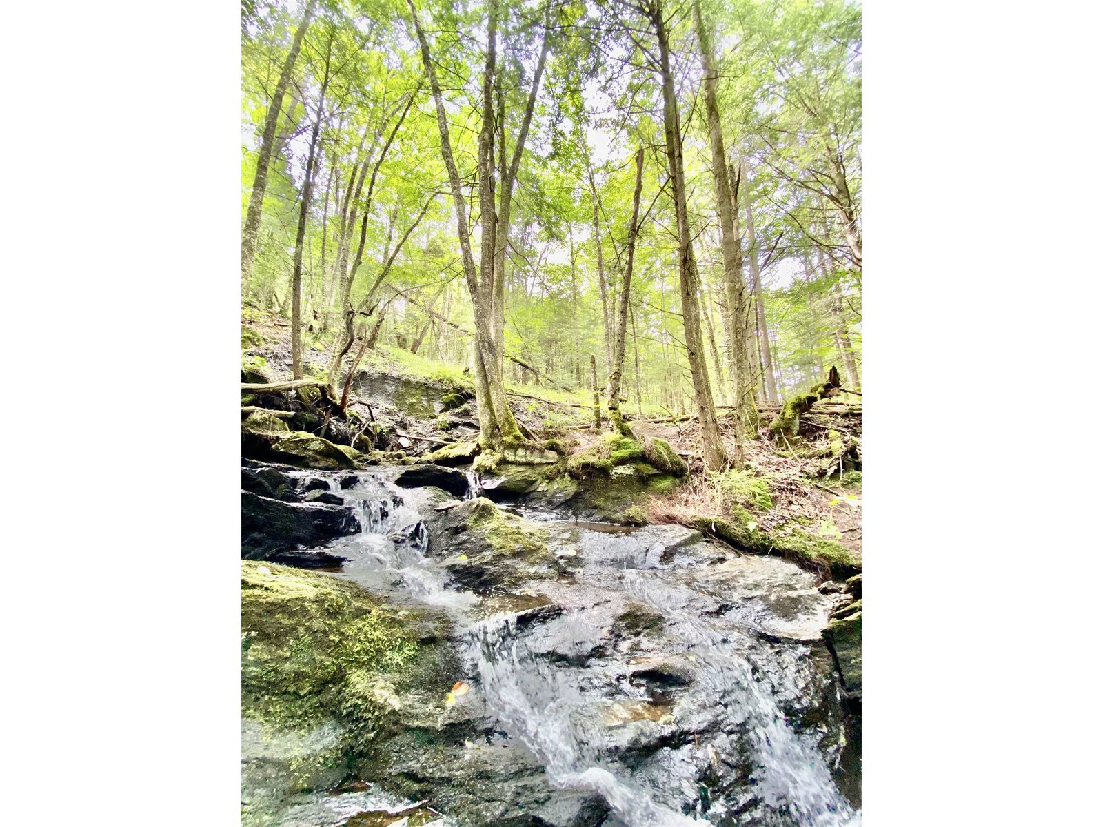 waterfall on property