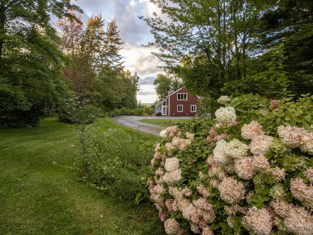 Welcoming foliage